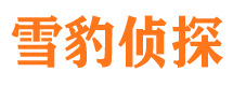 峨山外遇调查取证